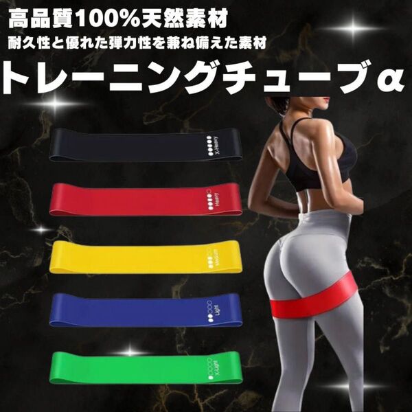 高品質 トレーニングチューブα 5本セット 強度表示付 収納袋付 フィットネス