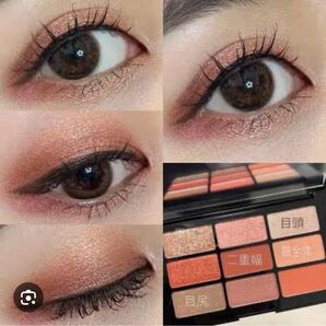 【shu uemura】クロマティックス アズキフラッシュ アイシャドウパレット