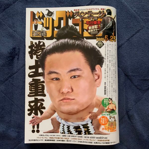 ビッグコミック 10号 5月25日号