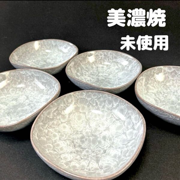 美濃焼 氷裂紋 雅窯 皿 5枚セット 角皿 深皿 和食器