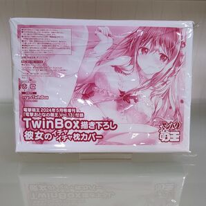 TwinBox描き下ろし 彼女のイチャイチャ枕カバー 電撃おとなの萌王 Vol. 13 付録 未開封