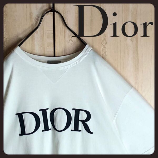 DIOR ビックロゴ刺繍クルーネックオーバーサイズ Tシャツ
