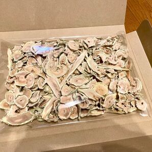 ブロッコリー お徳用