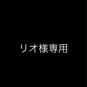 リオ様専用