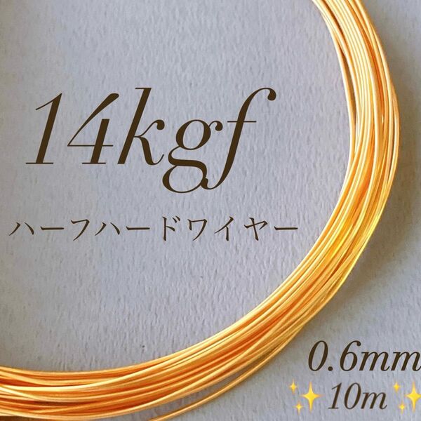 高品質 14kgf 0.6mm ハーフハードワイヤー 10m ワイヤー 14KGF パーツ