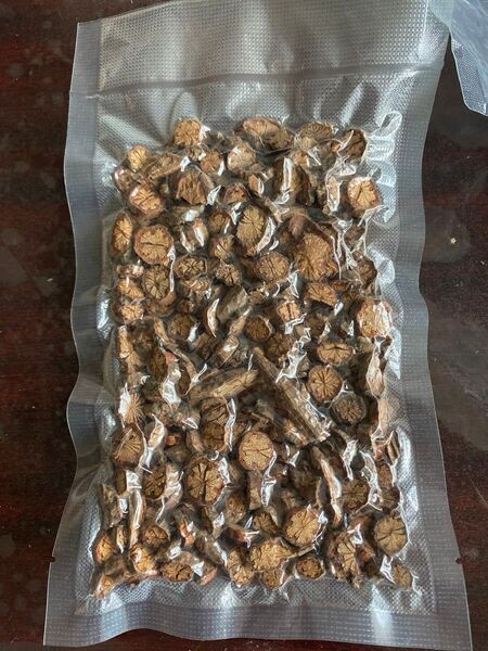 紫 丹参 タンジン自然栽培 健康茶 養生茶