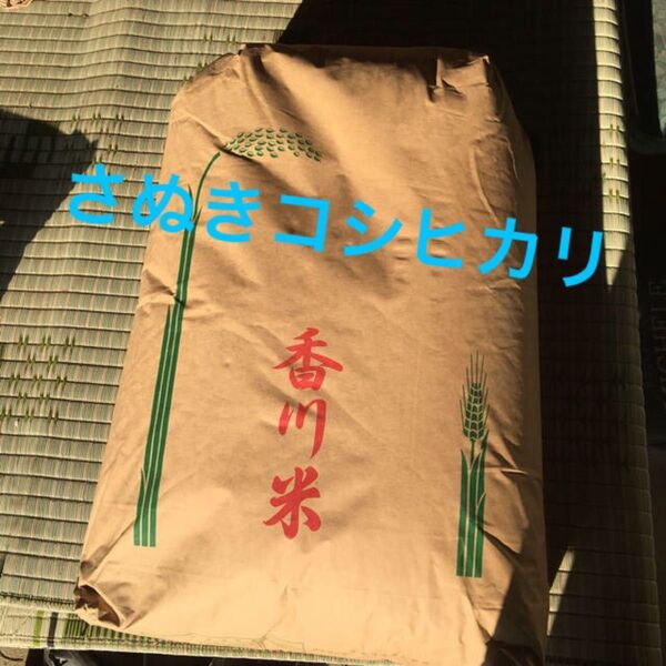 さぬきコシヒカリ!2kg送料無料で!!