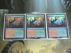 MTG 燃え柳の木立ち/Grove of the Burnwillows Foil 日 3枚迄 IMA