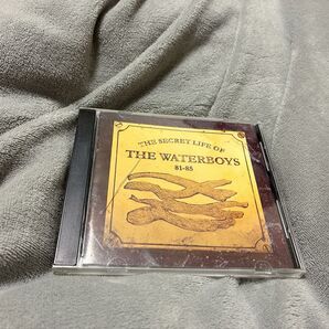 The Secret Life of the Waterboys 8185 CD
