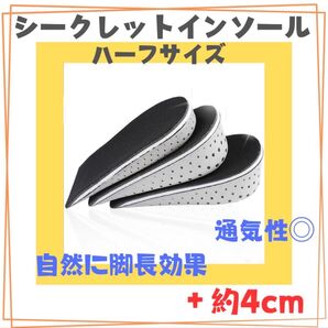約4センチ ハーフサイズ シークレット インソール 中敷 男女兼用 スニーカー