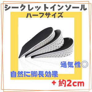 約2センチ ハーフサイズ シークレット インソール 中敷 男女兼用 スニーカー