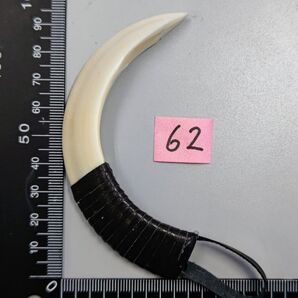 メ62■猪牙 猪の牙 キバ 書道用仕上げ■写経 弓道 弓 矢 猪牙掛け イノシシ