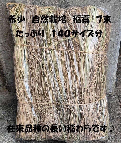 【希少】自然栽培稲藁 7束 無農薬 無肥料 天日干し 自然農法 はざかけ 稲架掛け 稲束 稲わら ワラ