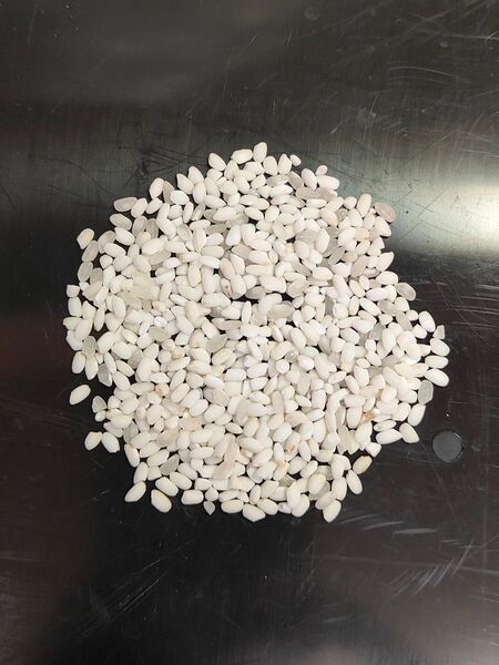 自然栽培 もち米(白米) 1.5kg (一升)無農薬 無肥料 無施肥 疎植一本植 天日干し 手植え 稲架掛け はざかけ 奈良県産