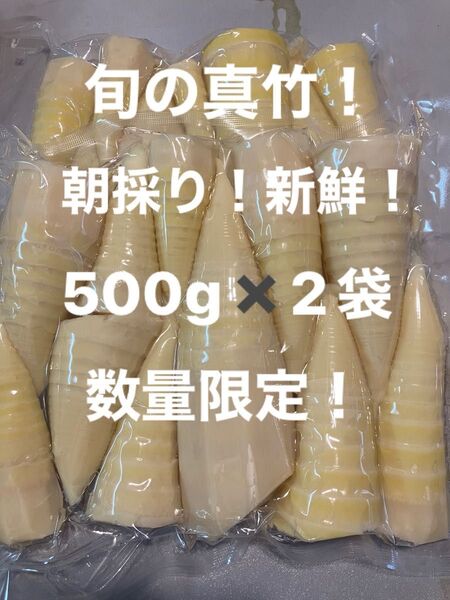 ⑥旬の真竹1キロ マダケ タケノコ たけのこ 筍 送料無料