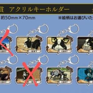 ジョジョワールド イギー アクキーセット 6点