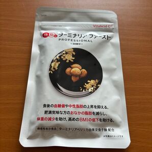 ターミナリアファースト プロフェッショナル 120粒 ビタブリッドジャパン