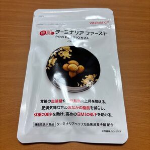 ターミナリアファースト プロフェッショナル 120粒 ビタブリッドジャパン
