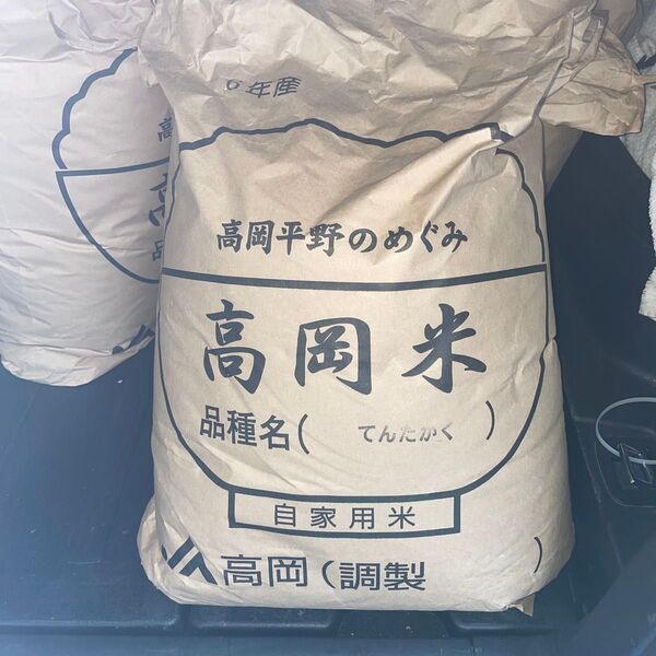 富山県産米、10kg、令和6年産、てんたかく
