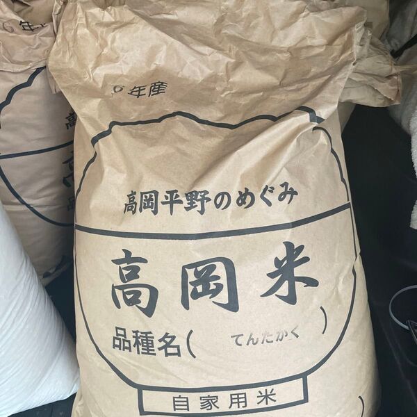 富山県産米、てんたかく、10kg 令和6年分