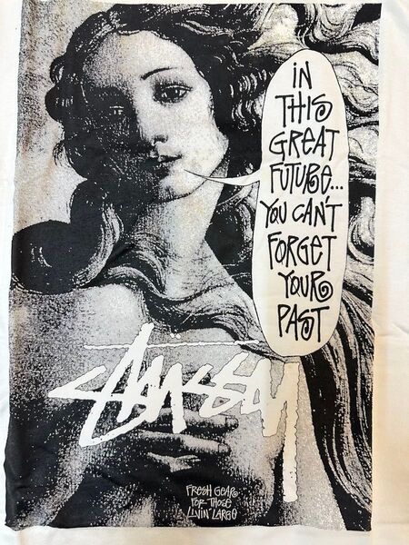超レア、2004年 STUSSY名古屋名駅チャプト5周年記念限定チャンピオンボディT、L、ヴィーナスフォト、未使用タグ付きデッド