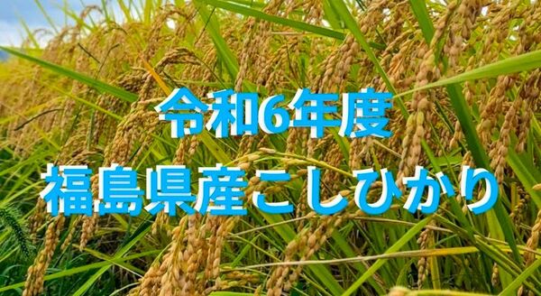 福島県産コシヒカリ 約2kg 農家直送 1等米