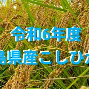福島県産 コシヒカリ 箱込約1.9kg強 1等米 農家直送です