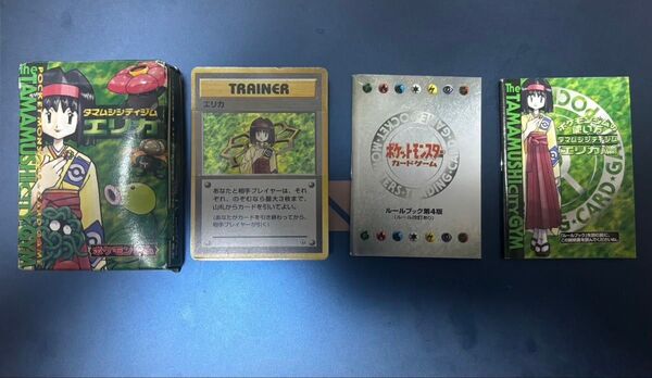 エリカ タマムシシティジム帯付き