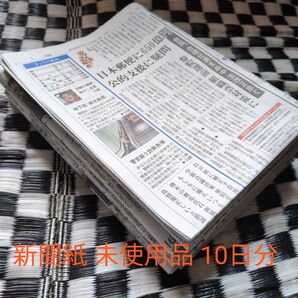 新聞紙 未使用品 10日分
