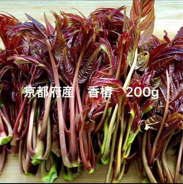 新鮮!香椿 (シャンチュン) 若芽 200g 春の味覚 無農薬