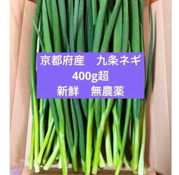 【採れたて新鮮!】京都府産 伝統野菜 無農薬 九条ネギ 400g