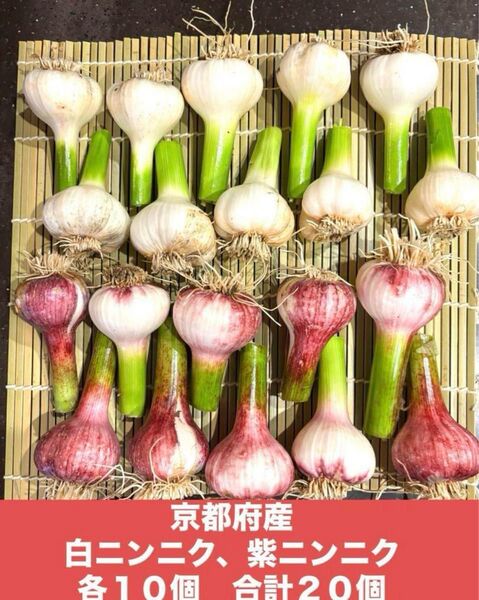 京都府産 生にんにく 無農薬 20個