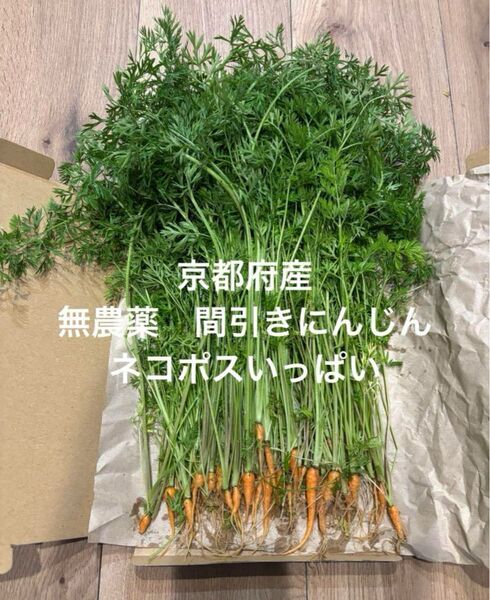 京都府産 間引き人参 無農薬 春にんじん