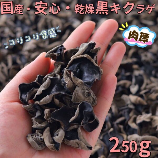 安心・肉厚・乾燥黒キクラゲ(250g)