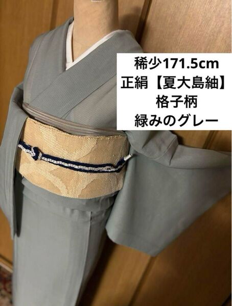 稀少サイズ。正絹夏大島【縞大島紬】美品 メンズライク 緑みのグレー、細格子柄☆