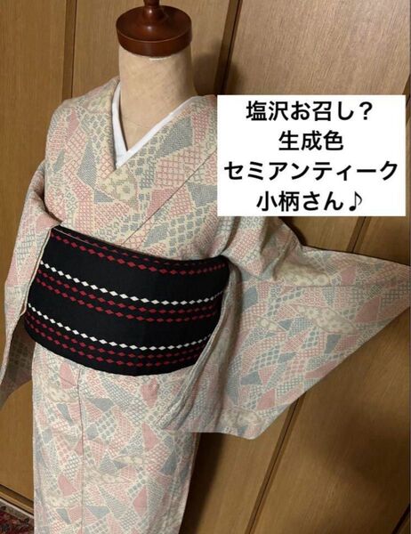 【単衣】小柄さん向け 可愛いアンティーク着物 塩沢お召し 生成りにカラフル文様☆