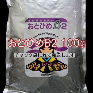 日清丸紅飼料 おとひめB2 (0.36~0.65mm) 100g メダカの餌 グッピー 金魚 らんちう ベタ