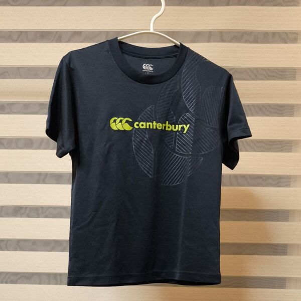 カンタベリー 半袖Tシャツ S canterbury ラグビー