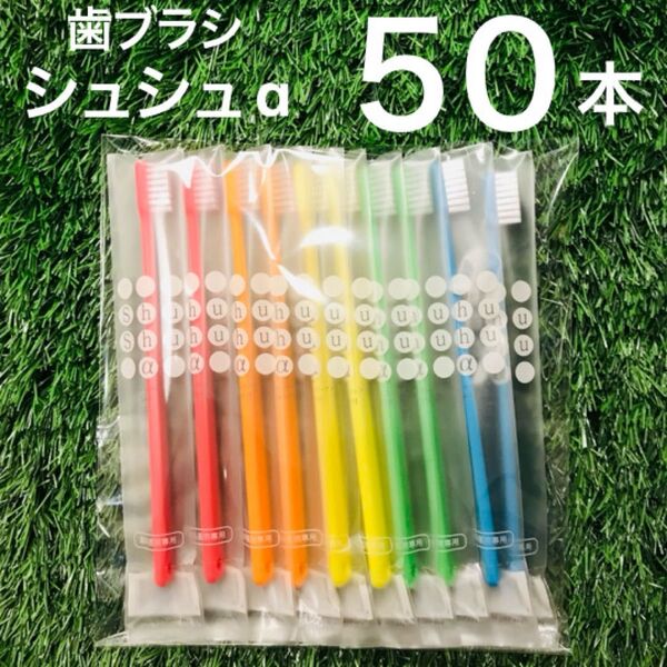 大人用 歯ブラシ 50本 セット ふつう シュシュ 歯科