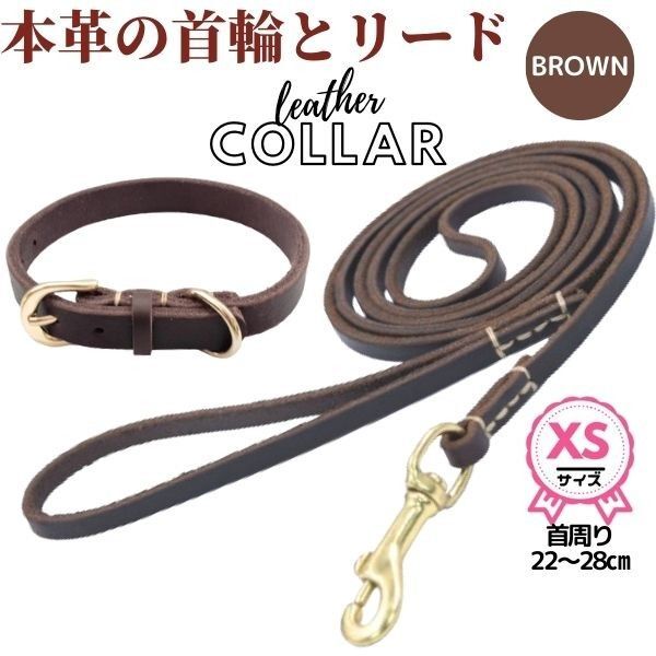 首輪&リードセット★XS☆22-28cm ★革☆牛革★超小型犬★ブラウン☆茶色