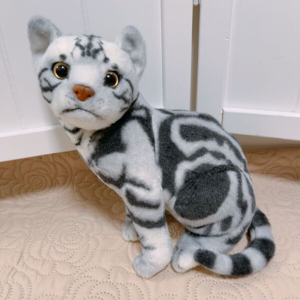 リアルキャット アメリカンショートヘアー アメショー リアル ぬいぐるみ 猫