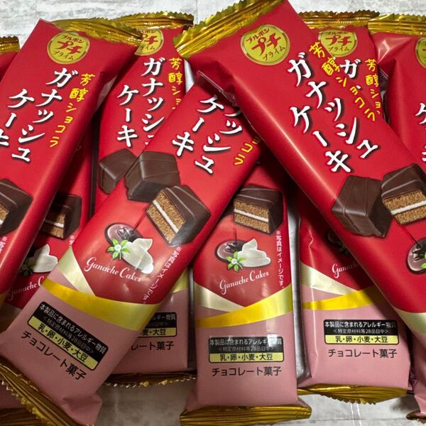 ガナッシュケーキ チョコレート 10個