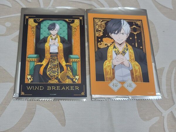 WIND BREAKER ウィンブレ 箔押しブロマイド 桜遥