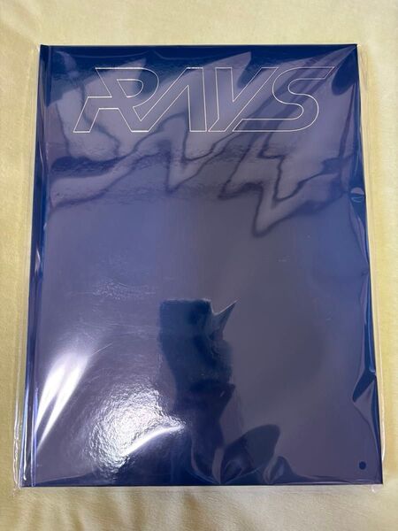 最終お値下げ snowman ドームツアー RAYS パンフレット 未開封