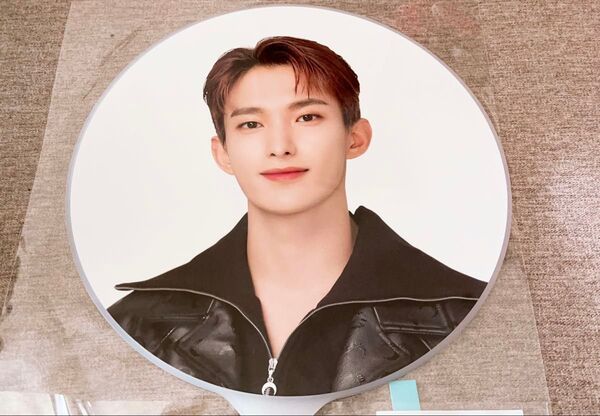 SEVENTEEN うちわ ドギョム Follow to Japan