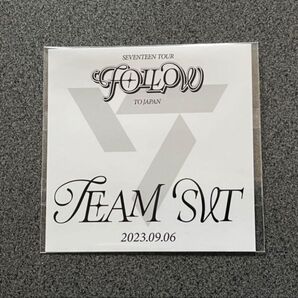 SEVENTEEN ステッカー FOLLOW TO JAPAN