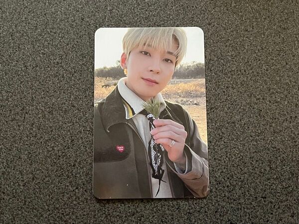 SEVENTEEN トレカ ウォヌ face the sun