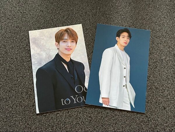 SEVENTEEN トレカ ドギョム ode to you まとめ売り