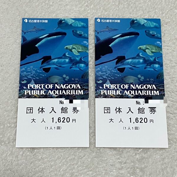 名古屋港水族館 入館券 大人2枚 入場チケット