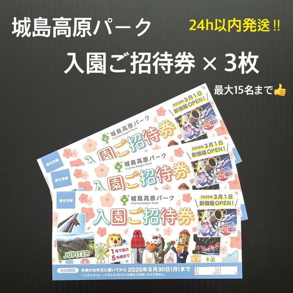 城島高原パーク 入園ご招待券 無料券 チケット クーポン